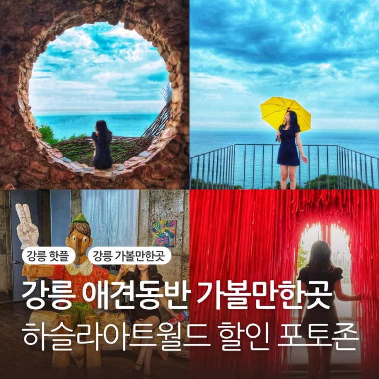  강릉 하슬라아트월드 예약 할인 입장권 포토존 애견동반 가볼만한곳