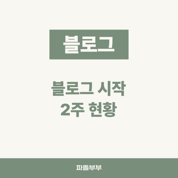  블로그 시작 2주 현황