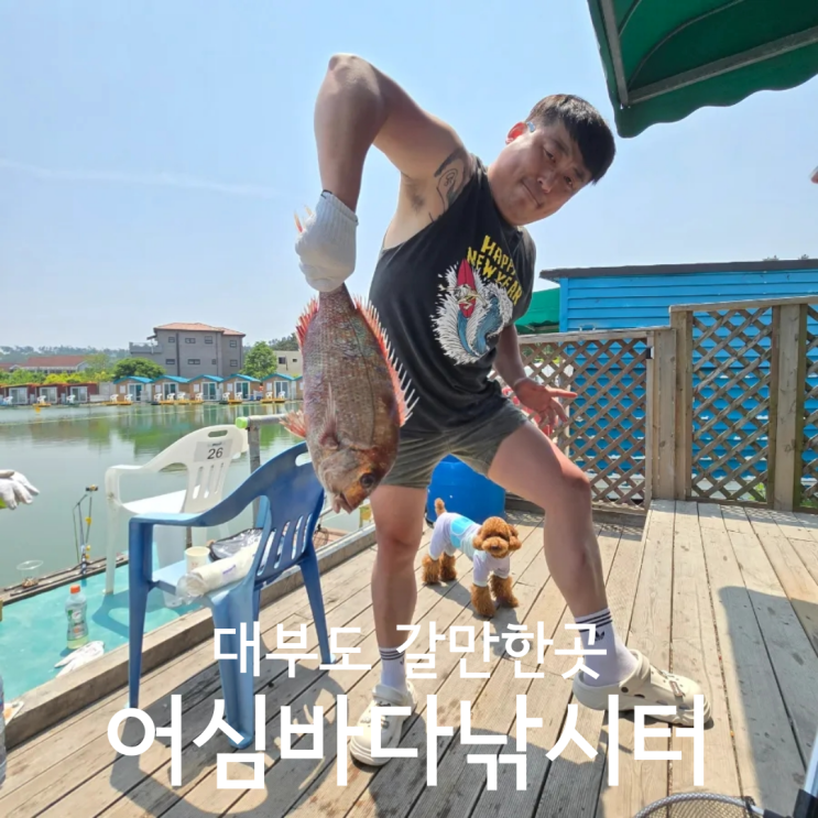  대부도갈만한곳 어심바다낚시터 애견동반 방갈로 후기