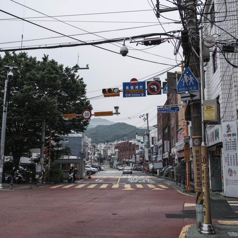 중국손만두 사진 2