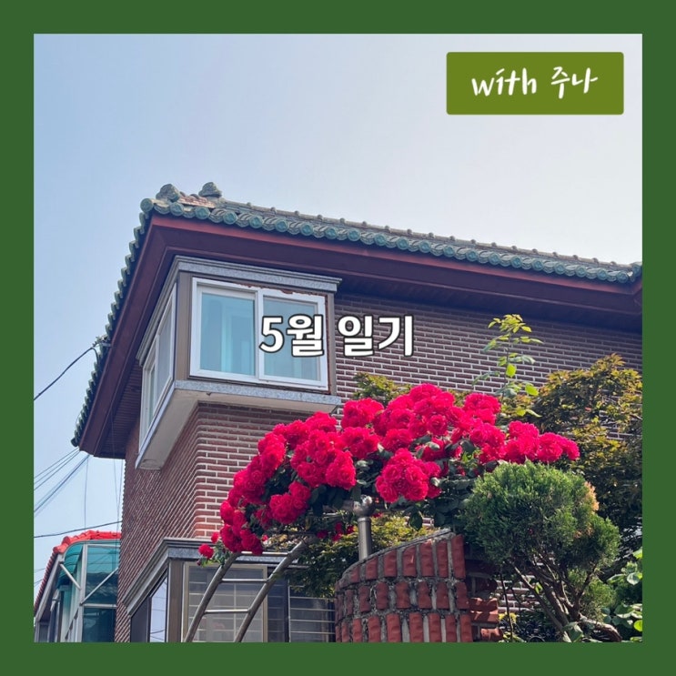 5월 일기, 벌써 모기 5방 물리다