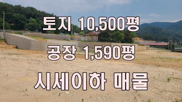  포천 공장 매매 - 가산면 대형 공장 부지 시세 이하 급매물!