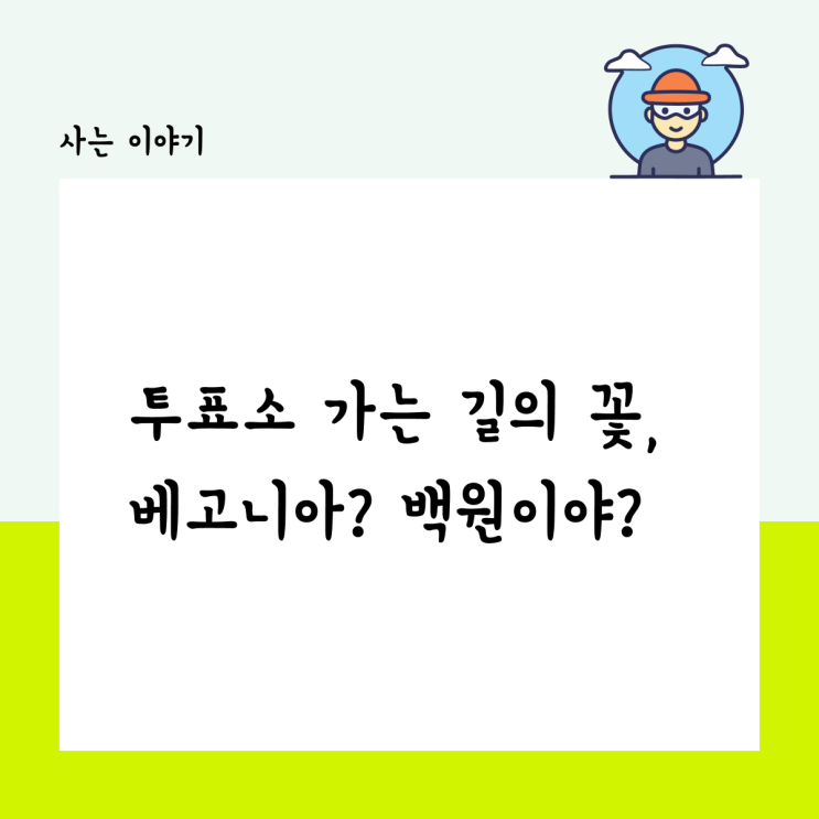  투표소 가는 길에 만난 꽃, 베고니아? 백원이야?