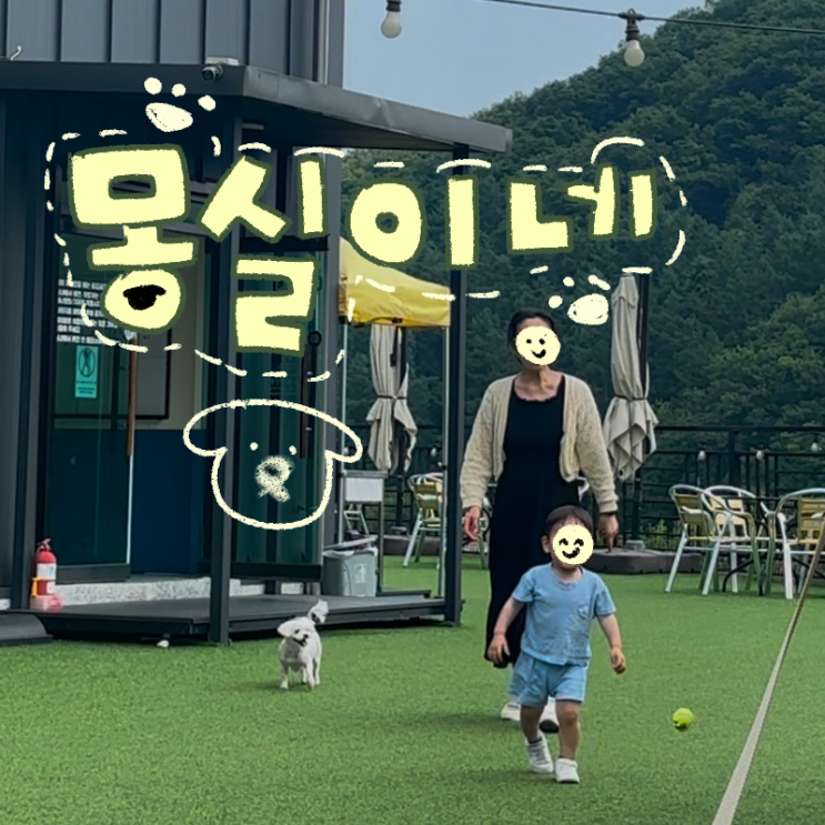  서울근교 애견카페 몽실이네｜경기광주 도척저수지 뷰, 아기랑 간 후기
