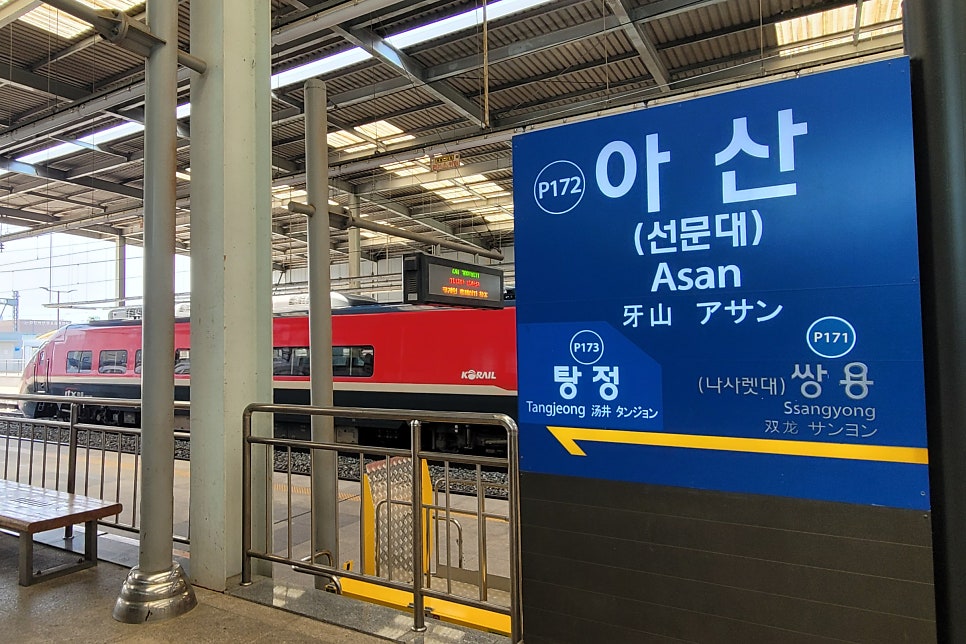 홍은이닭지그리 사진 4