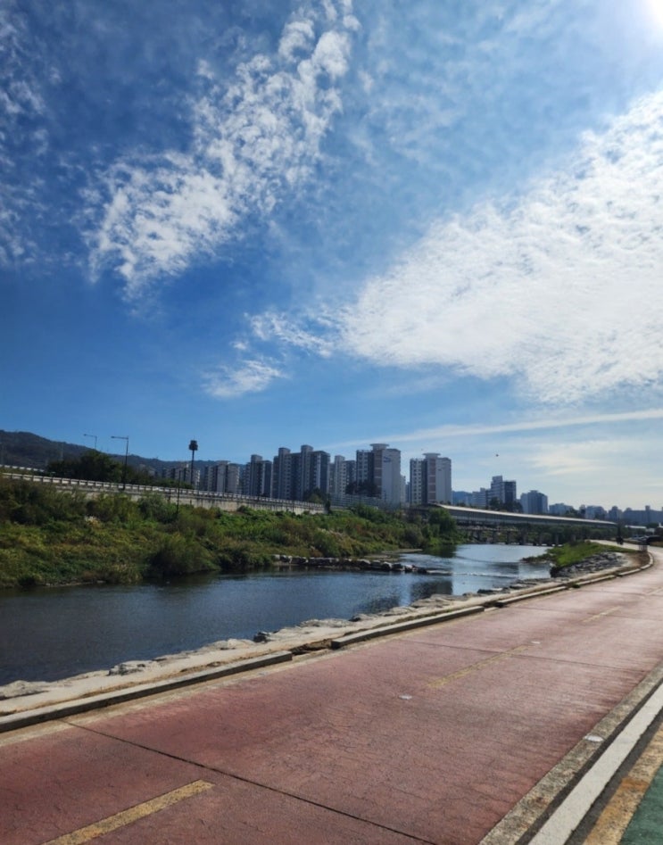  [파주 출렁다리 여행 후기] 걷기만 했을 뿐인데 심장이 쿵쾅! 파주 가볼만한곳 인정