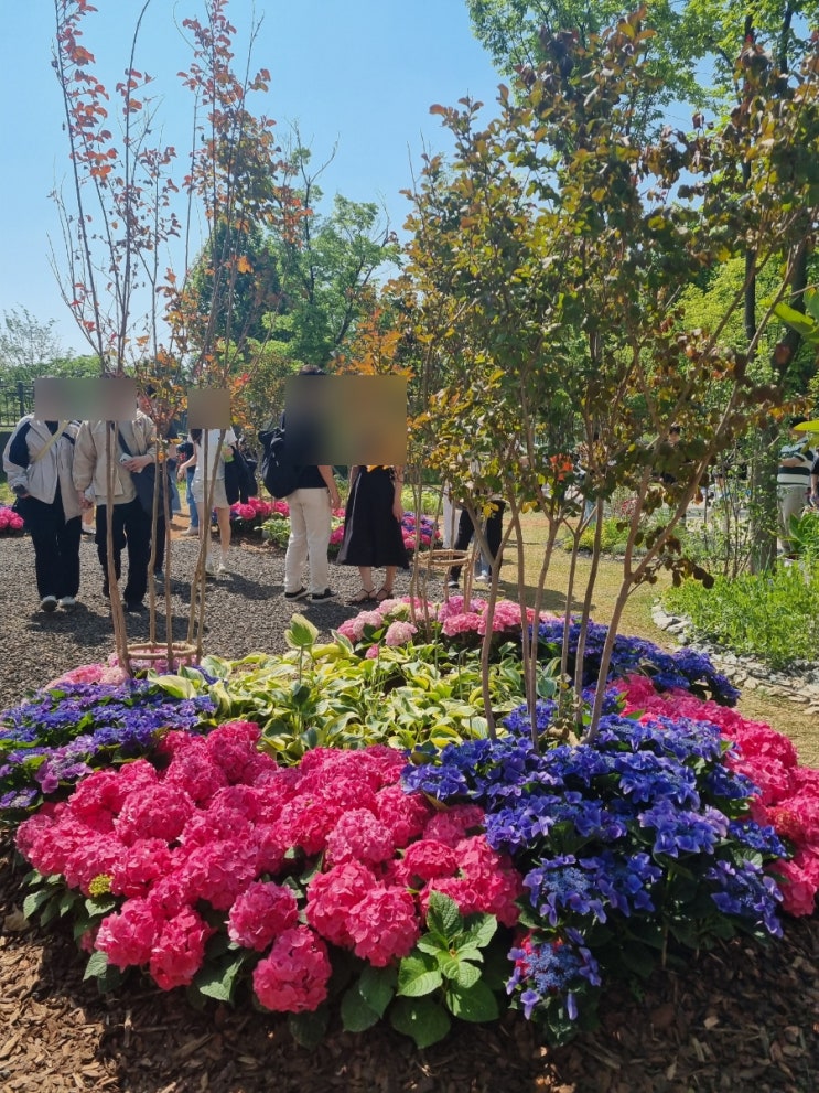 보라매공원에서 <b>개최</b>된 <b>서울국제정원박람회</b> 엄마랑... 