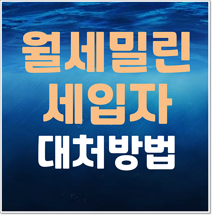 월세 체납 세입자 임차인 내보내는 방법 절차