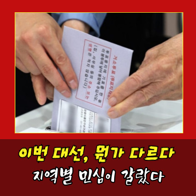  21대 대선투표율 80% 넘을까? 과거 대선과 비교
