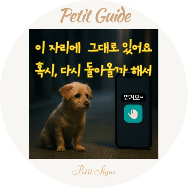  반려견 유기, 당근마켓｜잠깐 맡긴다더니 사라진 견주들