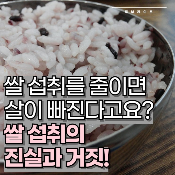  쌀 섭취를 줄이면 살이 빠진다고요? 쌀 섭취의 진실과 거짓!