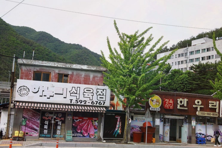 한우리식당, 투뿔한우 연탄구이를 맛볼 수 있는 강원도 정선 맛집