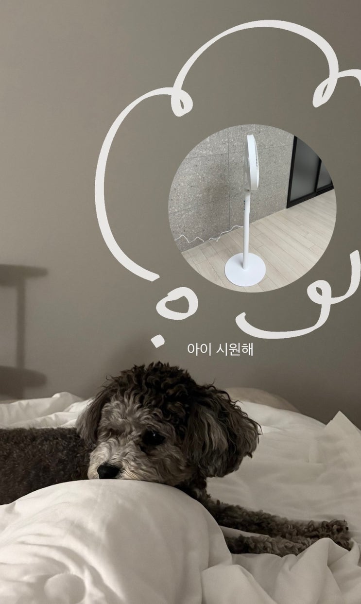 저소음 선풍기 서큘레이터 추천 샤오미, 집들이 선물, 육아 꿀 템