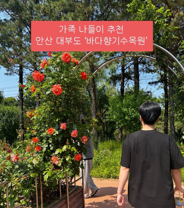  안산 대부도 근처 가족 나들이 다녀오기 ‘바다향기수목원‘ 주차, 가격