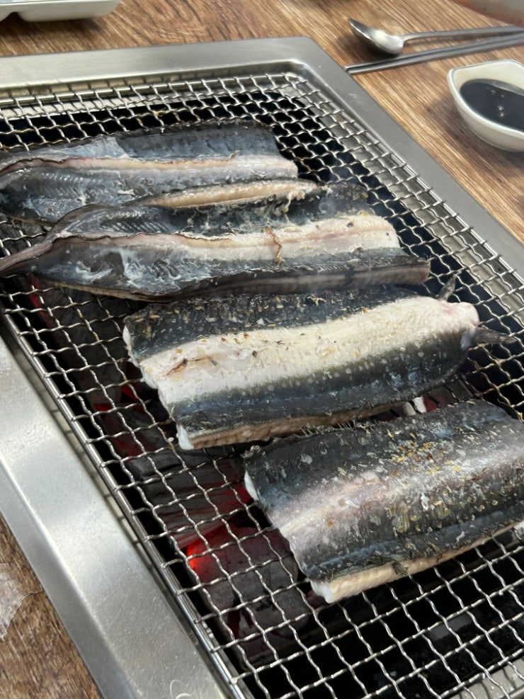 금강장어 사진 4