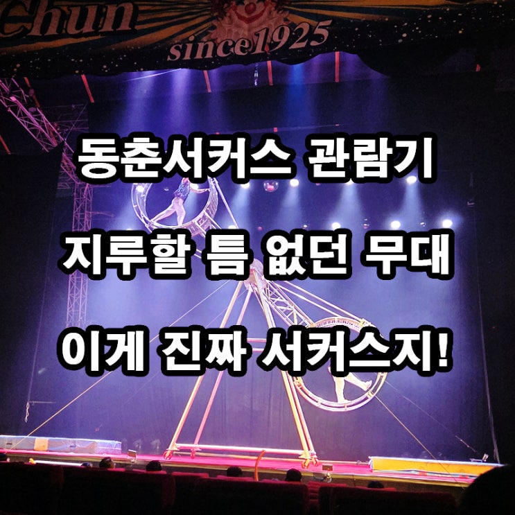  대부도 동춘서커스 후기｜아이와 주말 나들이 추천