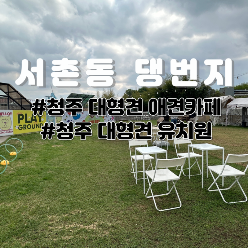 사진 3