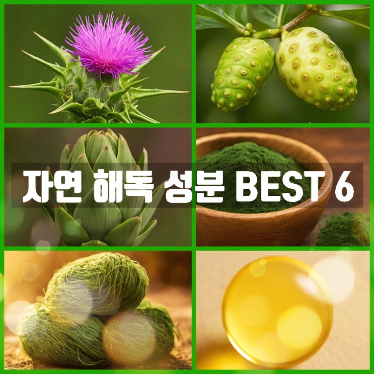  자연 해독 성분 BEST 6 – 간 건강부터 항산화 효과까지 효능 총정리!
