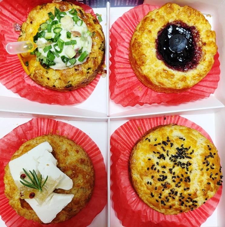  [창원]100가지 스콘이 가득한 창원 가로수길 스콘 맛집 '너티버터'