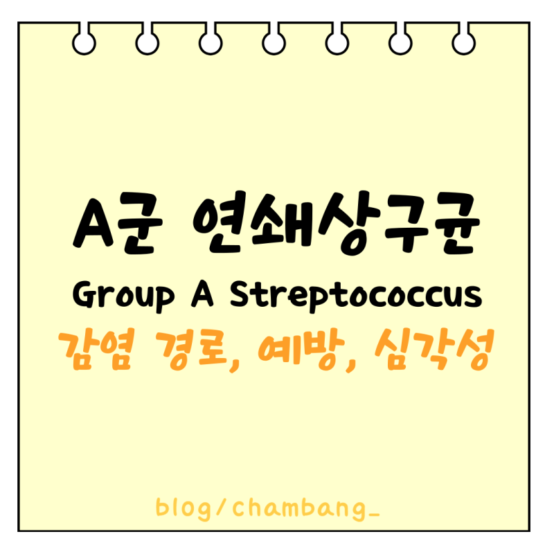 A군 연쇄상구균 Group A Streptococcus｜감염 경로, 예방, 심각성