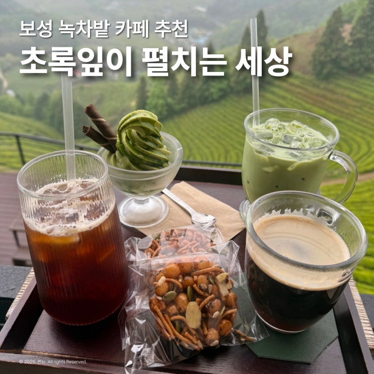  보성 녹차밭 카페 추천 초록잎이 펼치는 세상 아이스크림 후기
