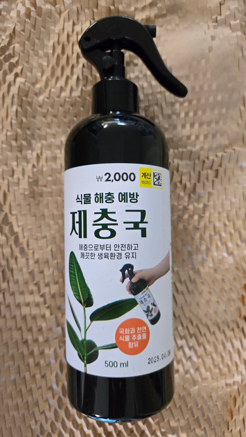 다이소 제충국, 식물 해충을 예방하여 깨끗한 생육 환경 유자
