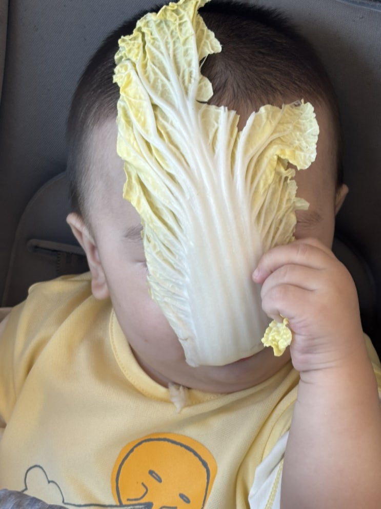  우리 둘찌랑 뭘먹은걸까요? 호매실 맛집 ㅍㅍㅈ