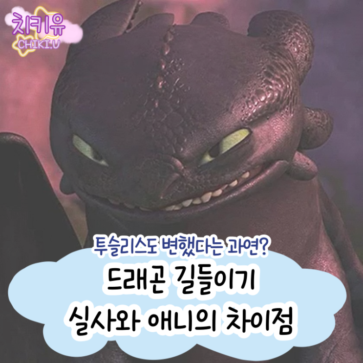  드래곤 길들이기 실사와 애니의 차이점
