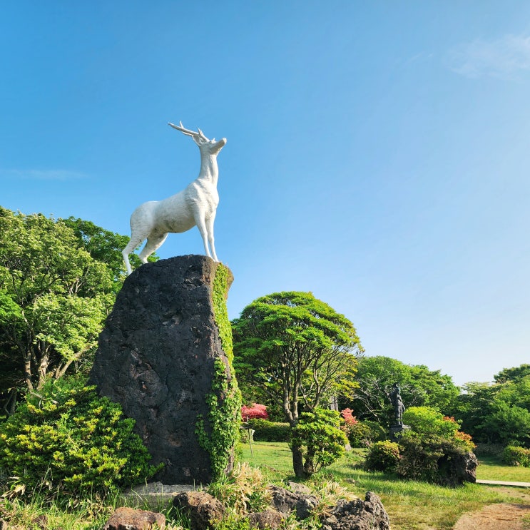  한라산 1100고지 휴게소 5월 6월 제주도 여행 드라이브코스 도로 가볼만한 곳