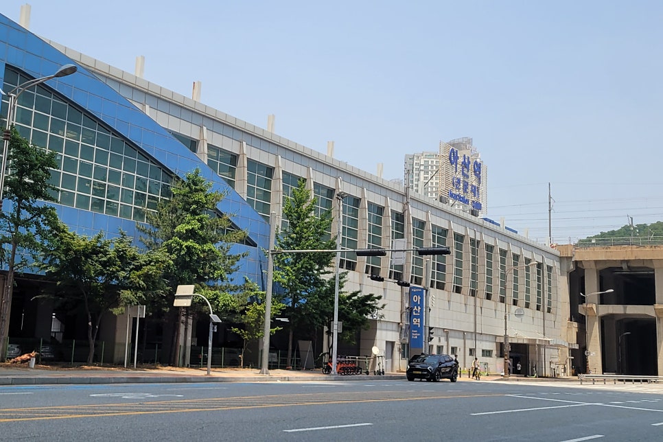 홍은이닭지그리 사진 3