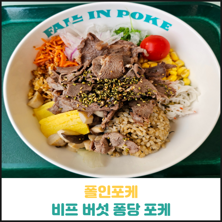 폴인포케 비프 버섯 퐁당 포케 후기 폴인포케 비프 버섯 퐁당 포케 후기