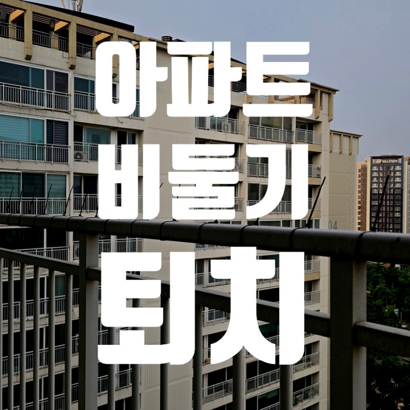 아파트 베란다 비둘기 퇴치법