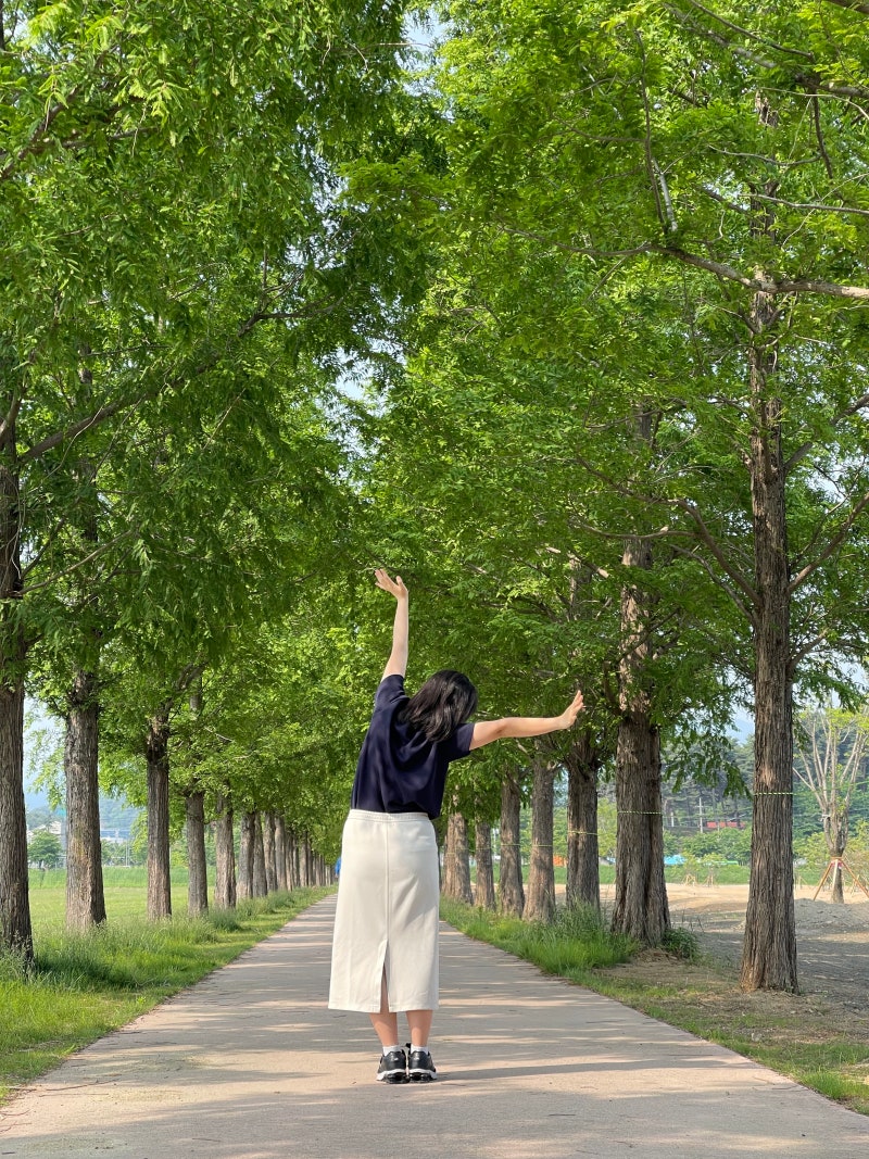 사진 3
