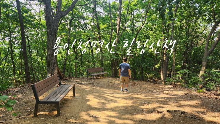  [용인 청명산 산책 후기] 영통 카페 & 식사 후 걷기 좋은 힐링 산책코스
