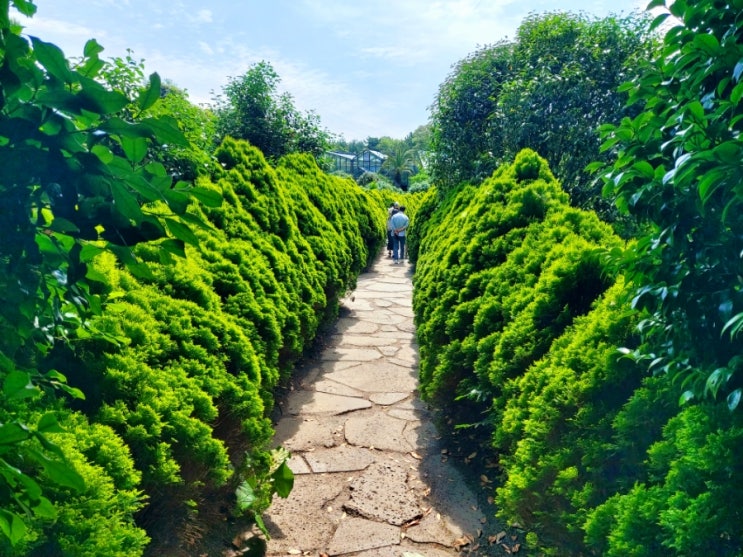 <b>K</b>-<b>푸드 수출</b>호황/2025.06.03.