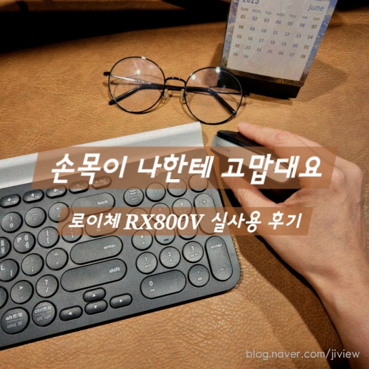  손목 살리는 루틴템, 로이체 RX-800V 버티컬 마우스 솔직후기