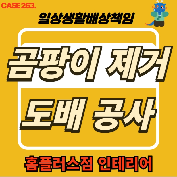  안양시 동안구 호계동 누수 전문 업체 곰팡이 제거 도배 공사