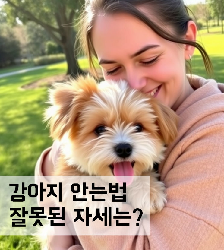  강아지 안는법 잘못된 자세와 올바르게 안는방법