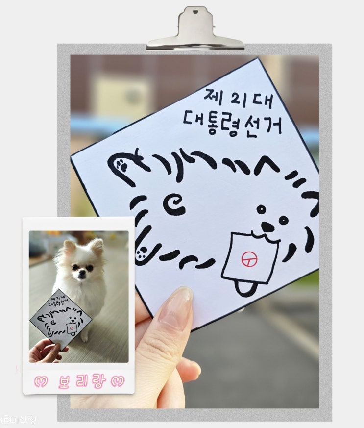  나도 소중한 한 표 _ 제 21대 대통령선거 인증샷