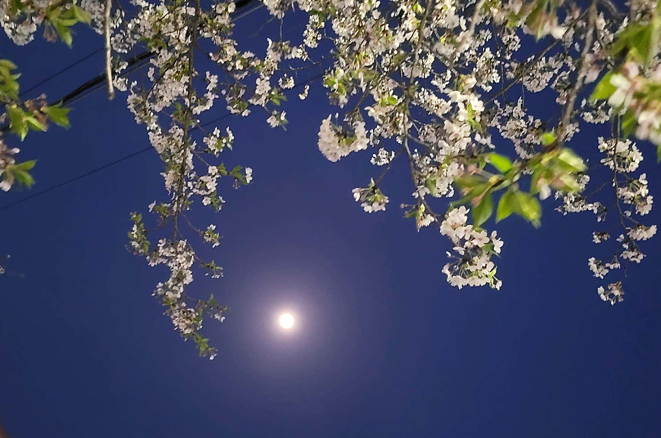 이금수내과의원 사진 1