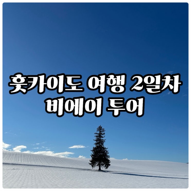  [홋카이도 가족여행 2일차] 비에이투어 후기(이모네비에이투어/소규모투어/준페이/코스시간)