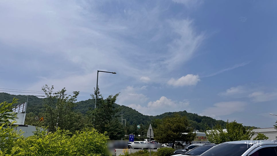 홍굴칼국수 사진 2