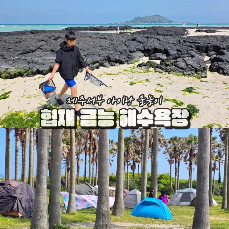 협재해수욕장 코스 제주도 금능해수욕장 해변 공사중
