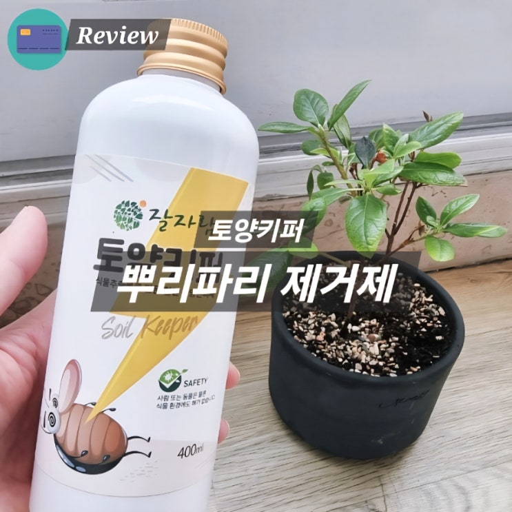  뿌리파리제거 방법 뿌리파리약 토양키퍼