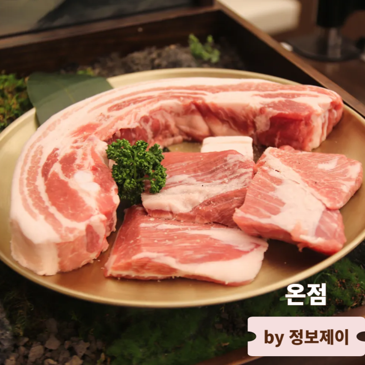  을지로입구 맛집 룸식당 고기집 온점 을지로점