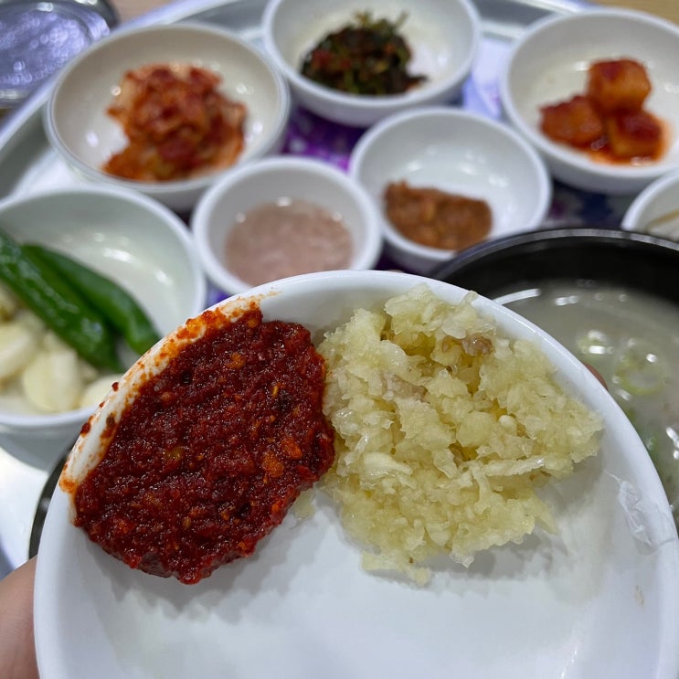  경상감영공원 밥집 - 마산식당 (ft. 성시경의 먹을텐데)