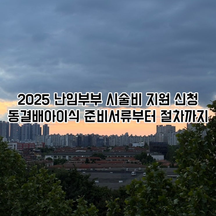  2025 난임부부 시술비 지원 신청｜동결배아이식 준비서류부터 절차까지