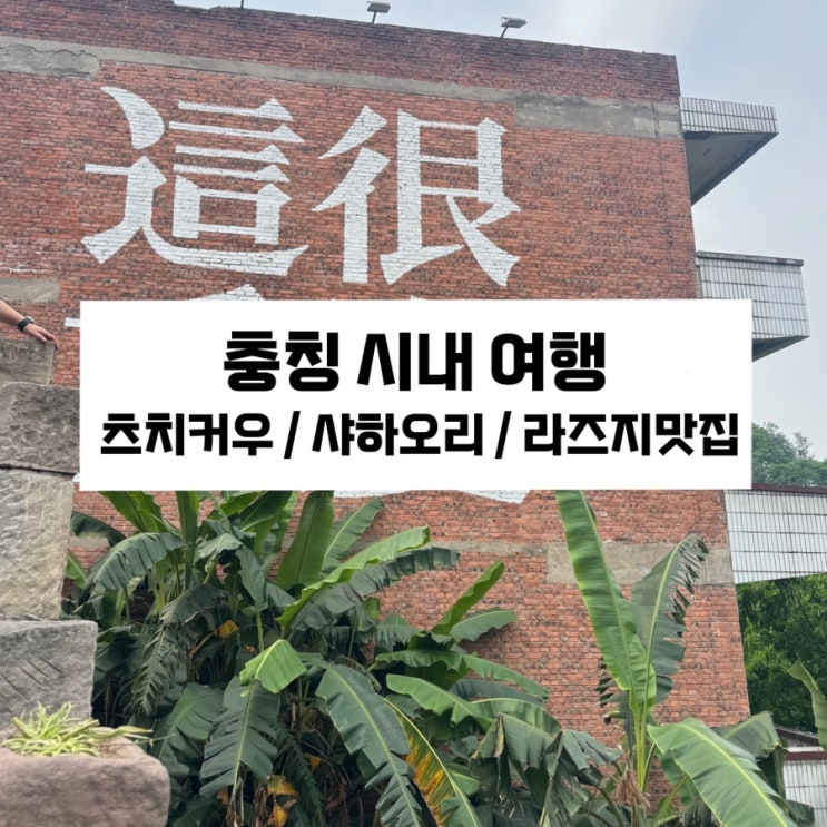  [충칭 시내 여행] 충칭 라즈지맛집/ 츠치커우 /샤하오리 / 래플스시티맛집 추천 / 패왕차희 메뉴추천