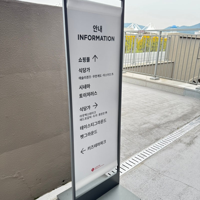 사진 6