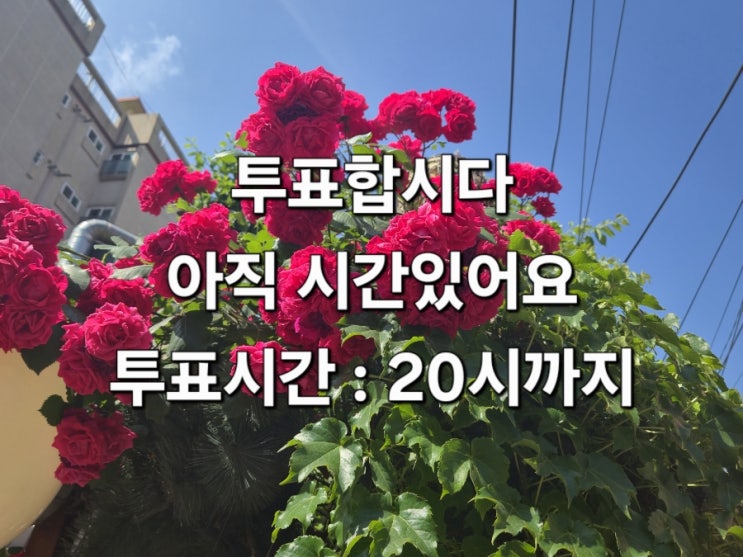  투표합시다/아직 시간 있어요/대통령선거 투표했어요